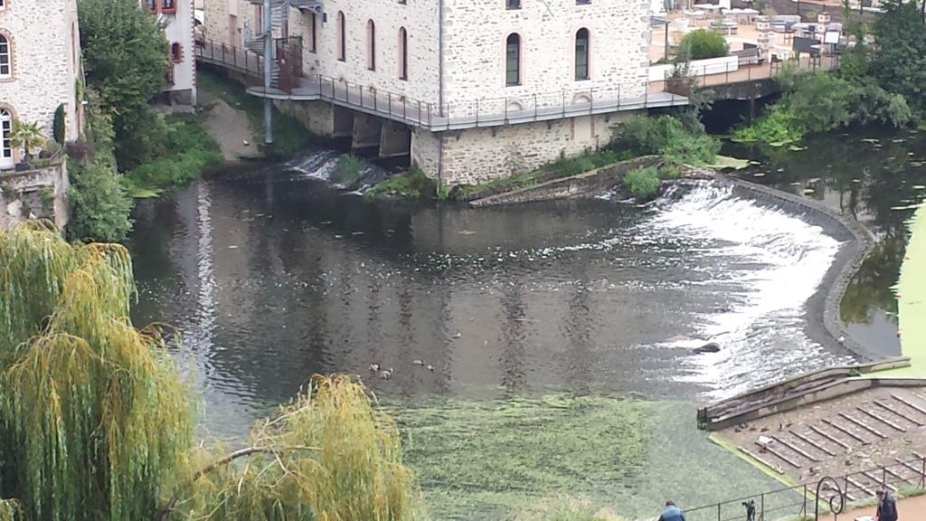 Sortie annuelle 2017